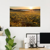 Pijlkruid Balsamroot-wildbloemen Poster (Thuiskantoor)