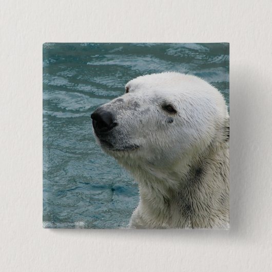 Pijlpaneel Polar Beer Profile Square Pin Vierkante Button 5,1 Cm (Voorkant)