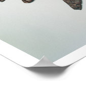 Pijlpunten, ijzertijdperk (ijzer) poster (Hoek)