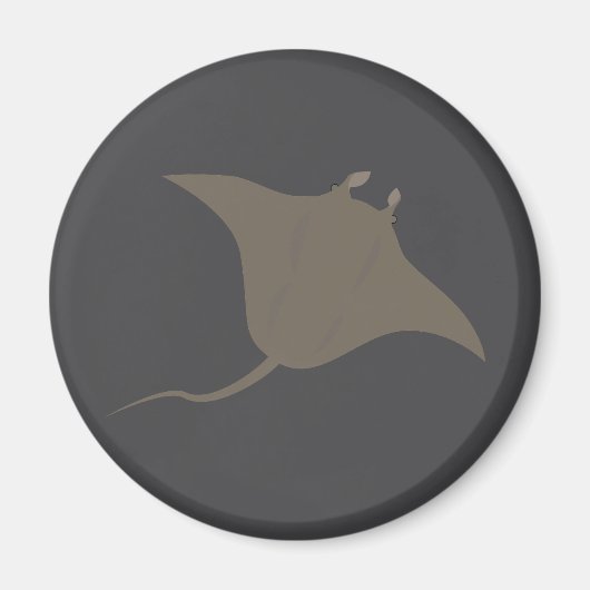 Pijlrog Magneet (Voorkant)