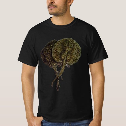 Pijlroggen Pijlroggen, Dierlijke Oude Zeedieren T-shirt (Voorkant)