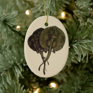 Pijlroggen Pijlstaartroggen, Vintage Zeeleven Dier Keramisch Ornament