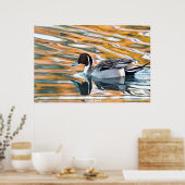 Pijlstaart eend poster (Keuken)