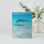 Pijlstaartrog die de Caraïben kruisen Briefkaart (Staand voorkant)