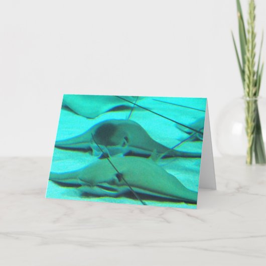 Pijlstaartroggen op het Wenskaart van de Kaart (Voorkant)