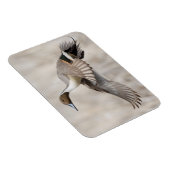 Pijlstaartwoerd in vlucht magneet (Rechterzijde)