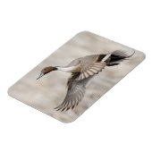 Pijlstaartwoerd in vlucht magneet (Linkerzijde)