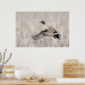 Pijlstaartwoerd in vlucht poster (Keuken)