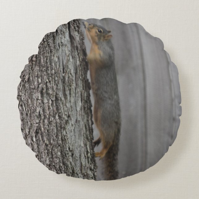 Pijlstang Rond Kussen (Voorkant)