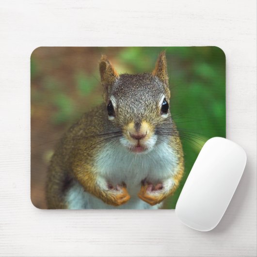 Pijn-eekhoorn Muismat (Met muis)