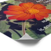 Pijn en risico - Anais Nin - poster (Hoek)