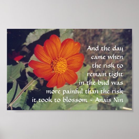Pijn en risico - Anais Nin - poster (Voorkant)