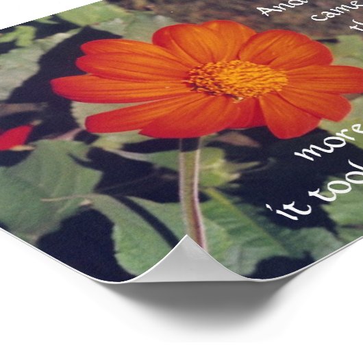 Pijn en risico - Anais Nin - poster (Hoek)