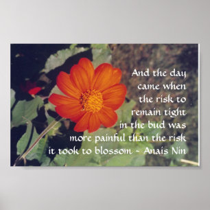 Pijn en risico - Anais Nin - poster