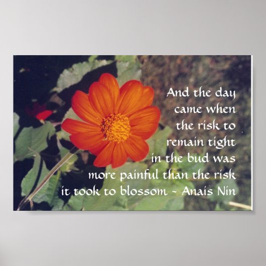 Pijn en risico - Anais Nin - poster (Voorkant)