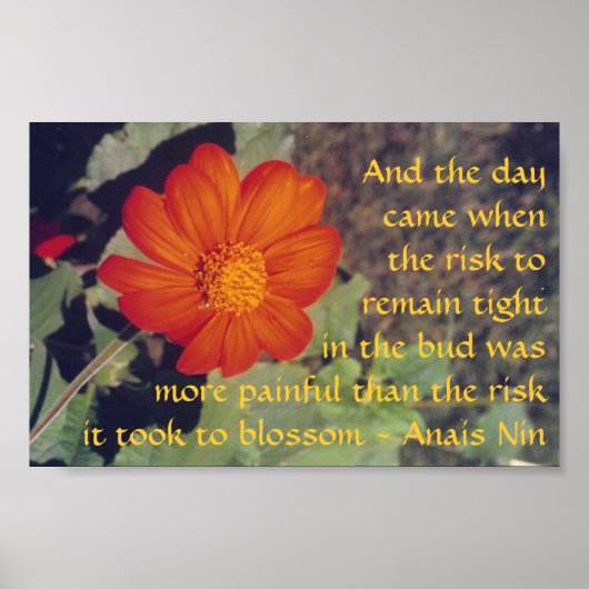 Pijn en risico - Anais Nin - poster (Voorkant)