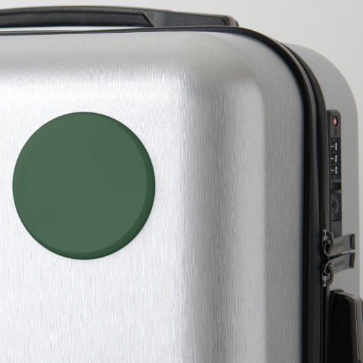 Pijn Groen Magneet (Insitu (bagage))