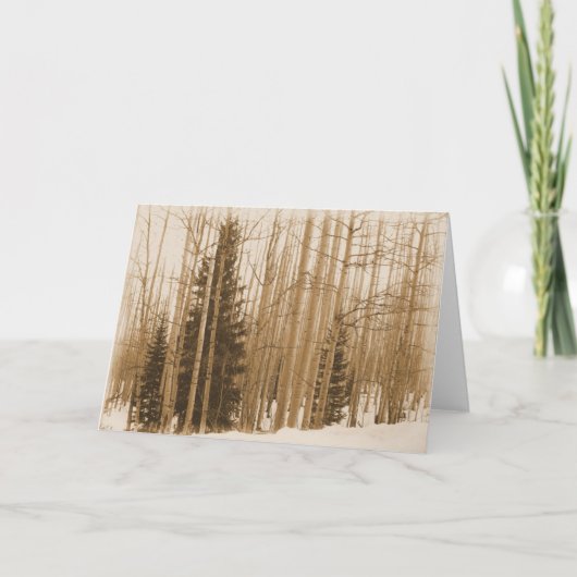 Pijn in de mengeling - Blanco in het Wenskaart Kaart (Voorkant)