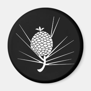 Pijn met naalden magneet