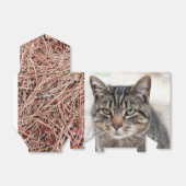 Pijn naalden voor verpakking bedankdoosjes (Uitgevouwen)