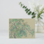 Pijn Tree Branch, Floral Art Northern Botany Green Briefkaart (Staand voorkant)