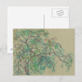 Pijn Tree Branch, Floral Art Northern Botany Green Briefkaart (Voorkant / Achterkant)