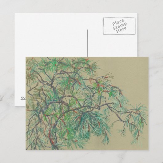 Pijn Tree Branch, Floral Art Northern Botany Green Briefkaart (Voorkant / Achterkant)