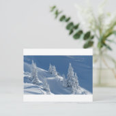 Pijnbomen bedekt met sneeuw briefkaart (Staand voorkant)