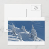 Pijnbomen bedekt met sneeuw briefkaart (Voorkant / Achterkant)