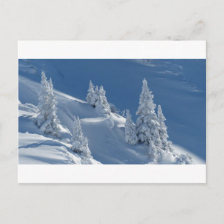Pijnbomen bedekt met sneeuw briefkaart