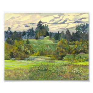 Pijnbomen Foto Afdruk