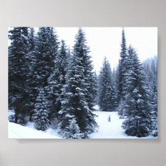 Pijnbomen in de winter poster