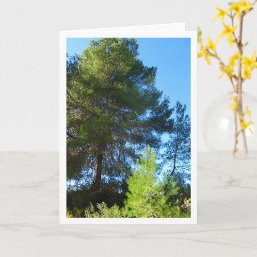 Pijnbomen in het bos kaart (Gele Bloem)