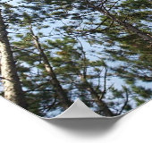 pijnbomen poster (Hoek)