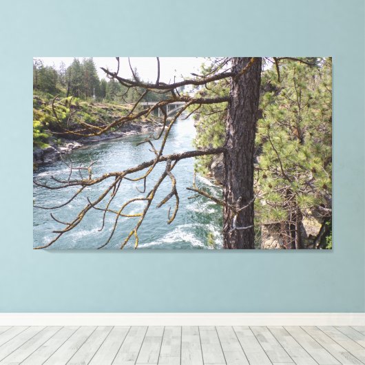 Pijnbomen, rivieren en oude brug Foto Canvas Afdruk (Insitu (Houten vloer))