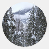 Pijnbomen Ronde Sticker (Voorkant)