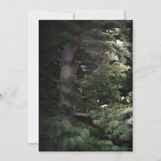 Pijnbomen Rustic Forest Bossen Wedding Invitations Kaart (Achterkant)