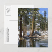 Pijnbomen, Sneeuw, Sequoia Lake, Kings Canyon NP Briefkaart (Voorkant / Achterkant)