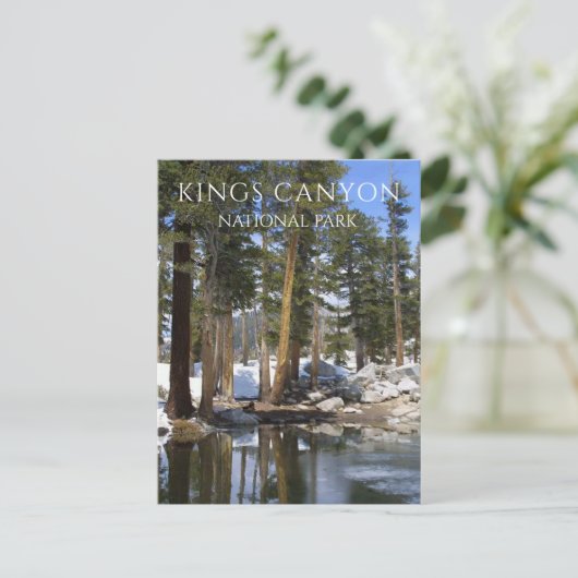 Pijnbomen, Sneeuw, Sequoia Lake, Kings Canyon NP Briefkaart (Staand voorkant)