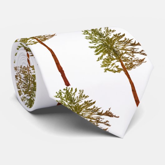 Pijnbomen Stropdas (Opgerold)