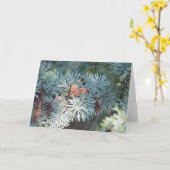 pijnboom en kegels kaart (Gele Bloem)