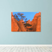 Pijnboom in Hoodoos  Canvas Afdruk (Insitu (Houten vloer))