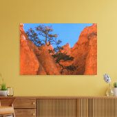Pijnboom in Hoodoos  Canvas Afdruk (Insitu (Woonkamer))