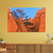 Pijnboom in Hoodoos Canvas Afdruk (Insitu (Woonkamer))