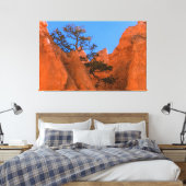 Pijnboom in Hoodoos Canvas Afdruk (Insitu (Slaapkamer))