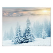 Pijnboom in verse sneeuw foto afdruk (Voorkant)