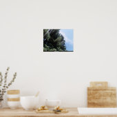 Pijnboom met lens poster (Keuken)