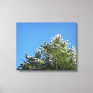 Pijnboom met sneeuwklemmen op blauwe hemel canvas afdruk