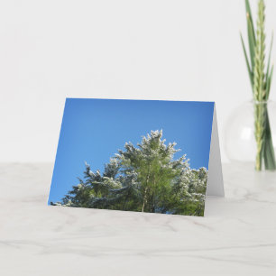 Pijnboom met sneeuwklemmen op blauwe hemel kaart