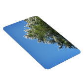 Pijnboom met sneeuwklemmen op blauwe hemel magneet (Rechterzijde)